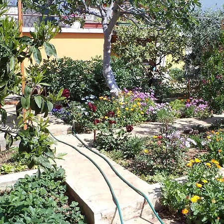 By The Sea Seget Vranjica, - 4884 *