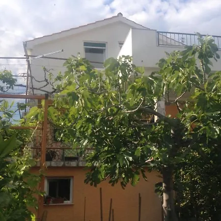 Apartment By The Sea Seget Vranjica, - 4884