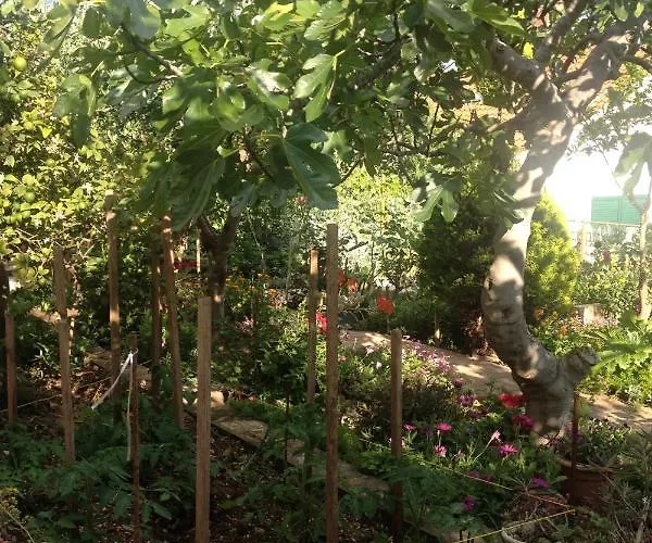 Appartement By The Sea Seget Vranjica, - 4884