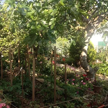 Apartamento By The Sea Seget Vranjica, - 4884